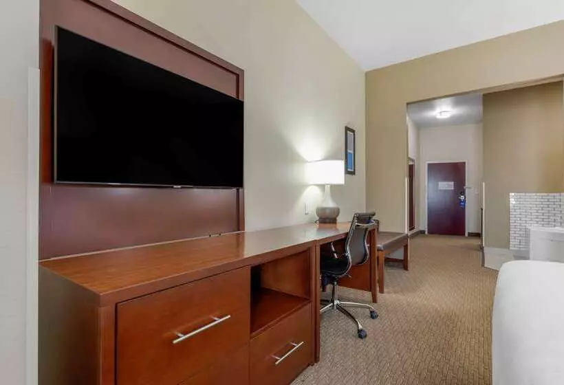 酒店 Comfort Suites