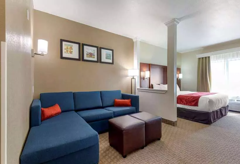 酒店 Comfort Suites