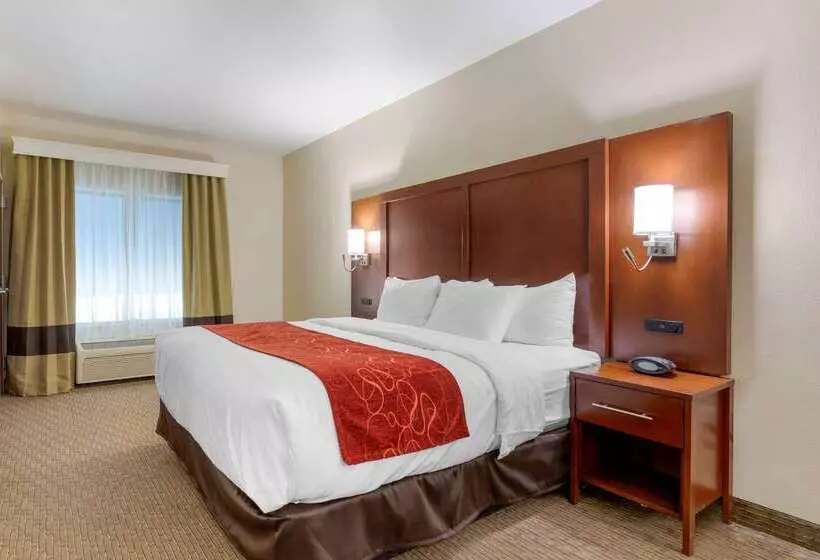 酒店 Comfort Suites
