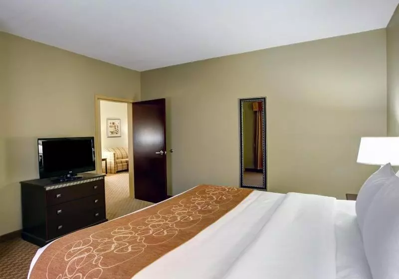 酒店 Comfort Suites