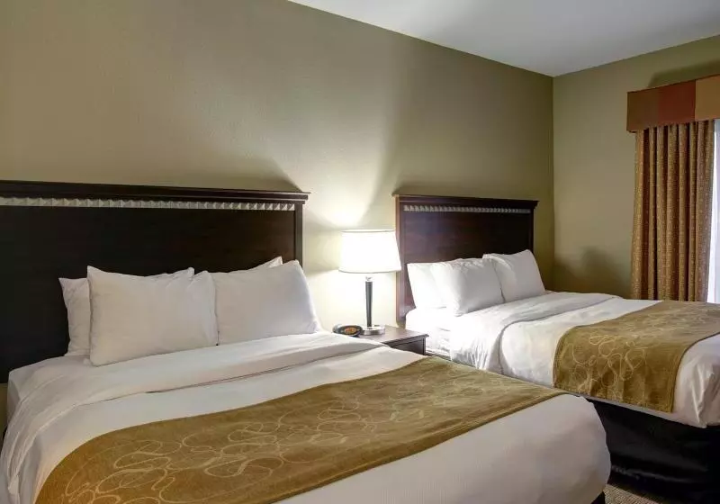 酒店 Comfort Suites