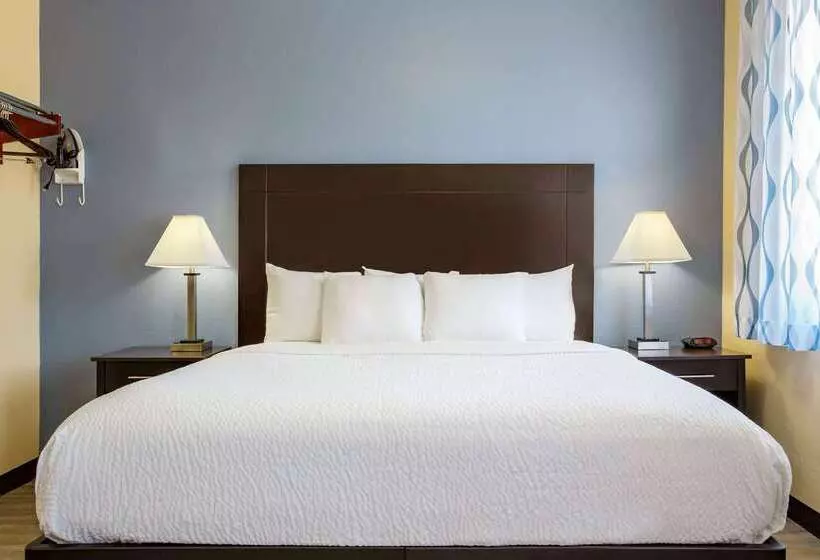 هتل Days Inn & Suites By Wyndham Dfw Airport South Euless