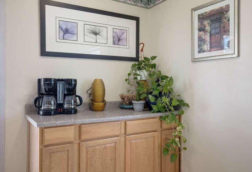 Отель Rodeway Inn & Suites Blythe I 10