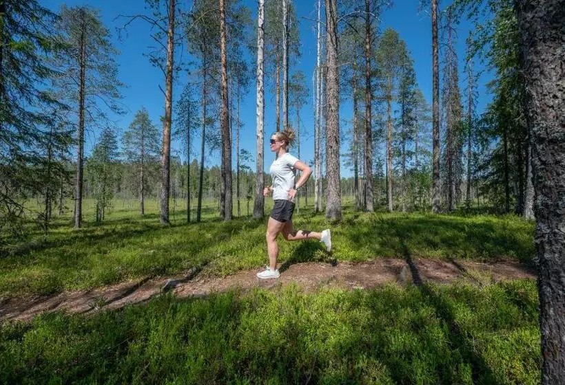 酒店 Ukkohalla Chalets