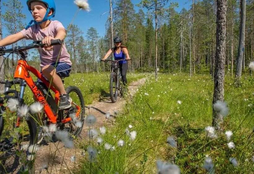 酒店 Ukkohalla Chalets