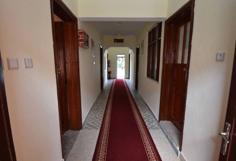 Пансион Duygu Apart Spellbinding Sea Views