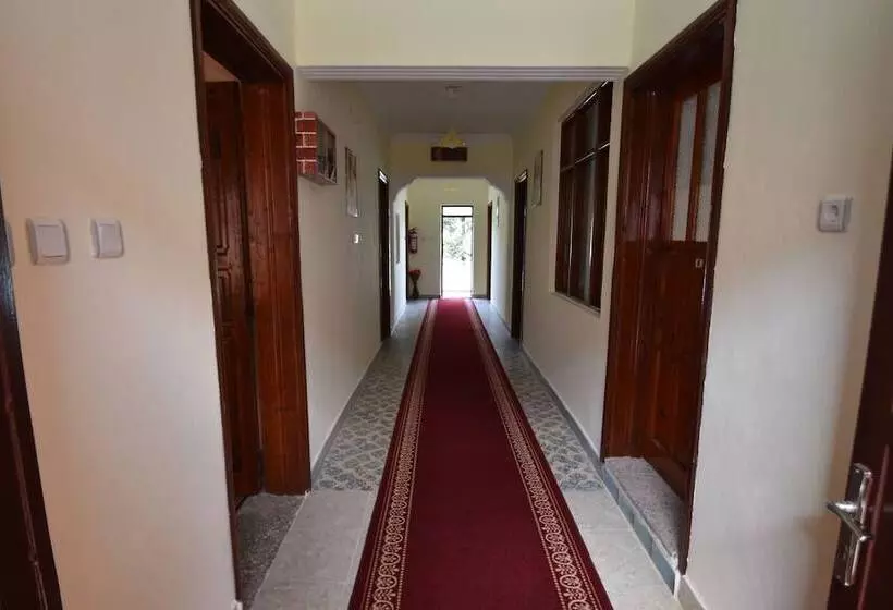 Пансион Duygu Apart Spellbinding Sea Views