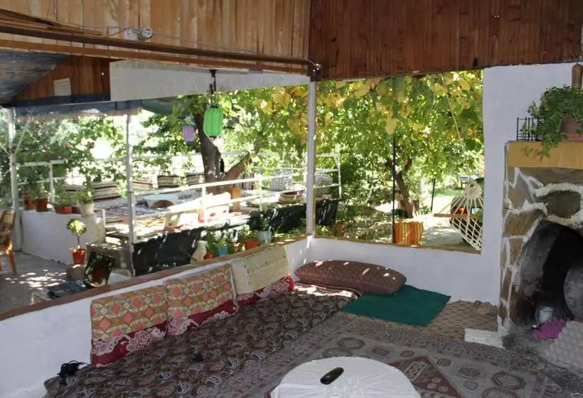 پانسیون Rose Hotel B&b