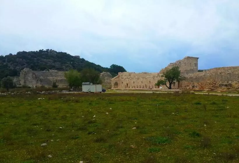 پانسیون Rose Hotel B&b