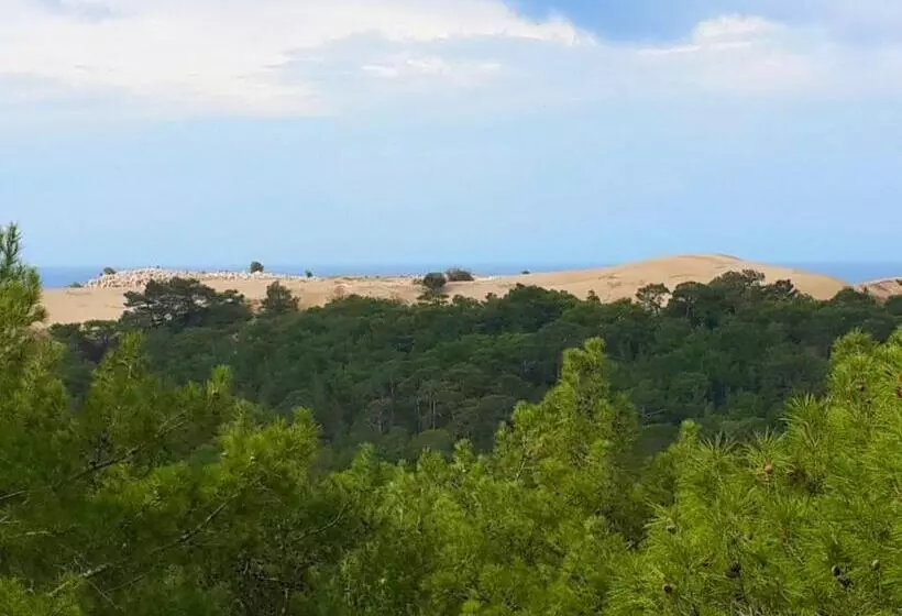 پانسیون Rose Hotel B&b