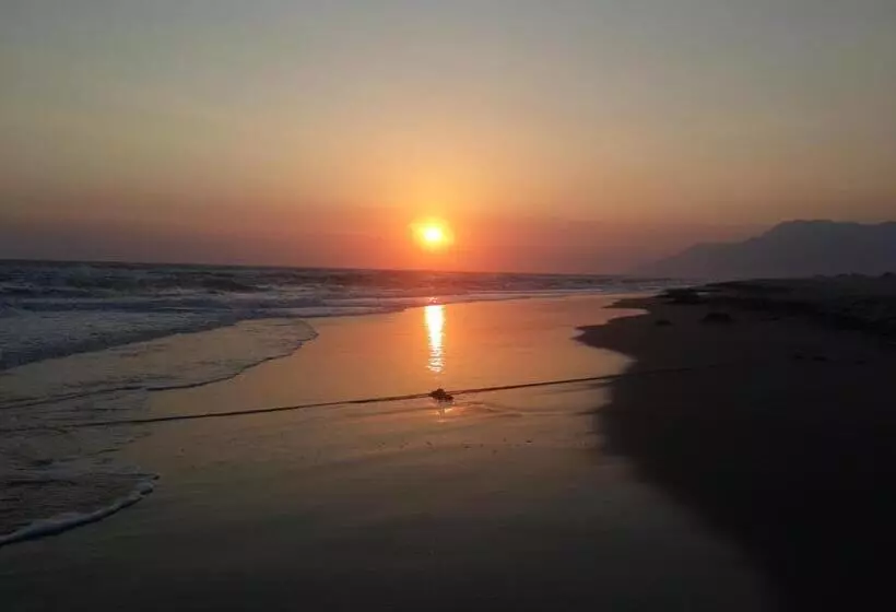 پانسیون Rose Hotel B&b