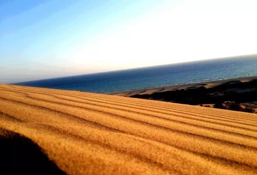 پانسیون Rose Hotel B&b