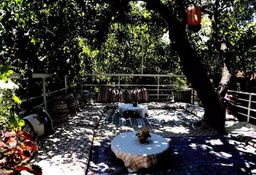 پانسیون Rose Hotel B&b