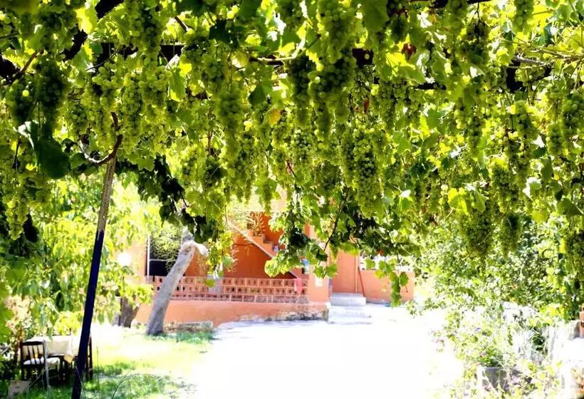 پانسیون Rose Hotel B&b