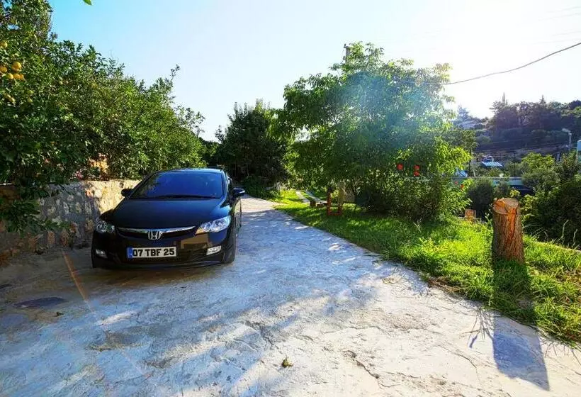 پانسیون Rose Hotel B&b