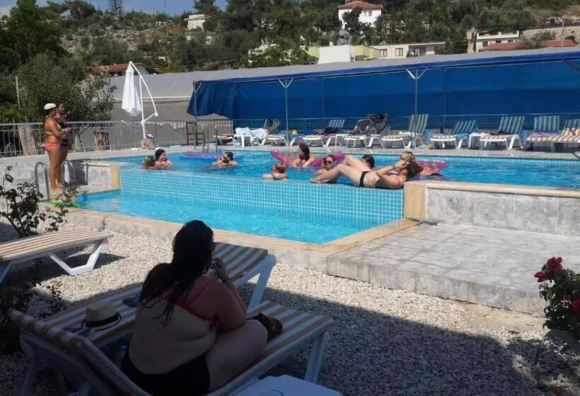 پانسیون Rose Hotel B&b