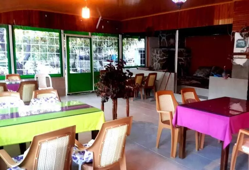 پانسیون Rose Hotel B&b