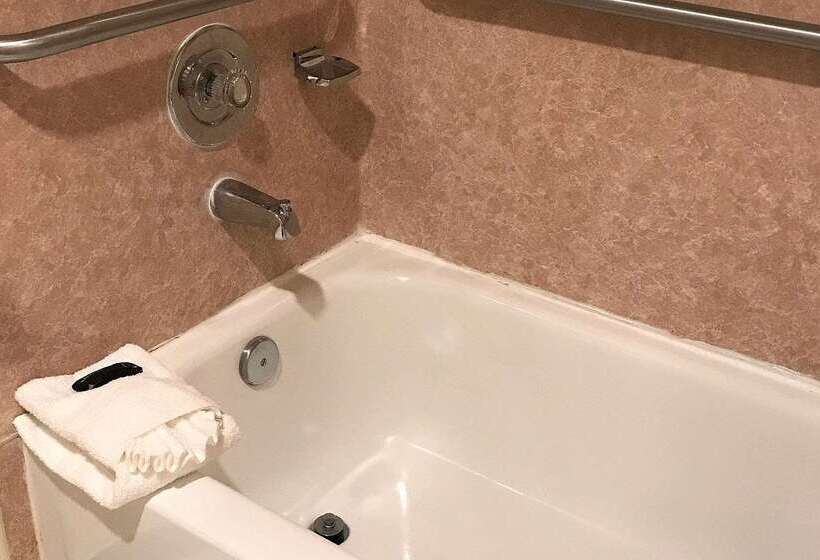 酒店 Americas Best Value Inn Lynnwood