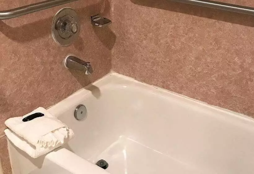 酒店 Americas Best Value Inn Lynnwood