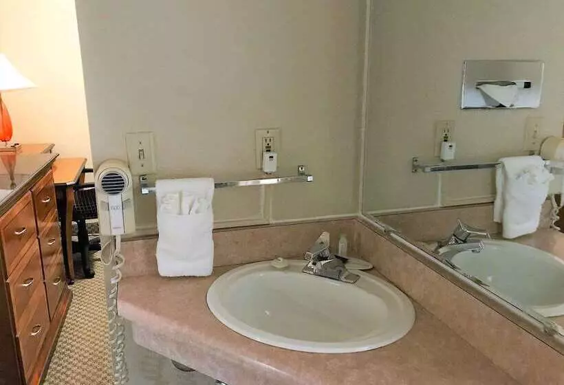 酒店 Americas Best Value Inn Lynnwood