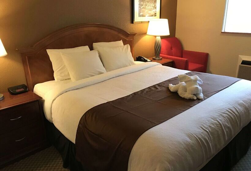 酒店 Americas Best Value Inn Lynnwood