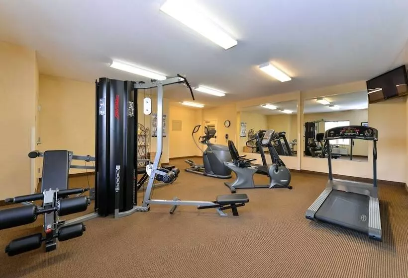 ホテル Candlewood Suites Elmira Horseheads, An Ihg