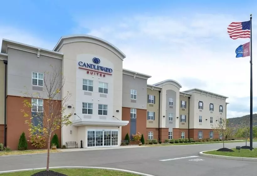ホテル Candlewood Suites Elmira Horseheads, An Ihg