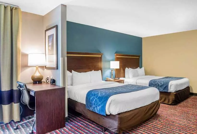 酒店 Comfort Suites