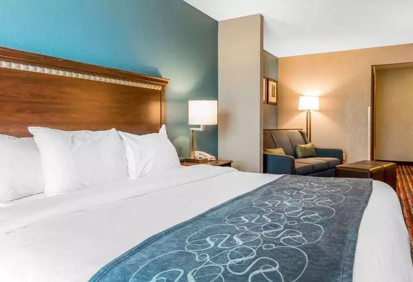 酒店 Comfort Suites