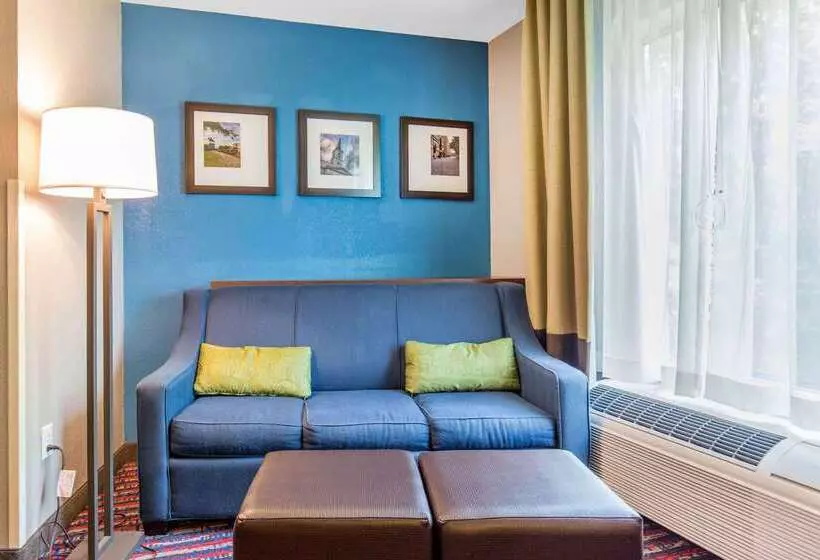 酒店 Comfort Suites