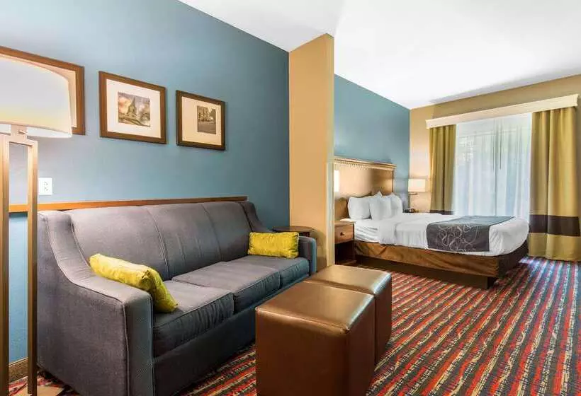 酒店 Comfort Suites