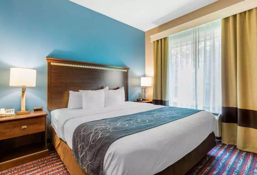 酒店 Comfort Suites