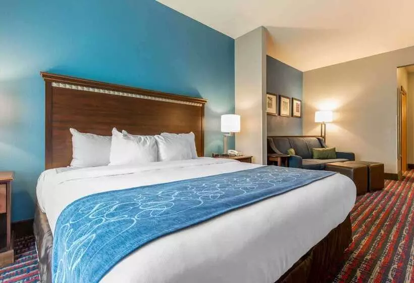 酒店 Comfort Suites