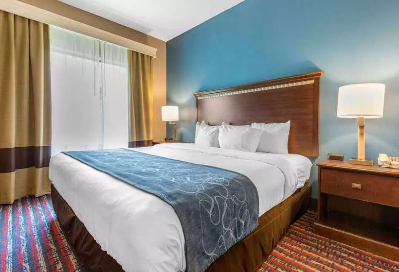 酒店 Comfort Suites