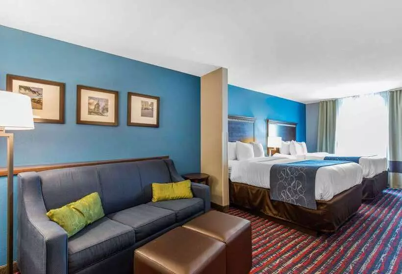 酒店 Comfort Suites