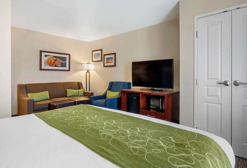 בית מלון כפרי Comfort Suites Fernley