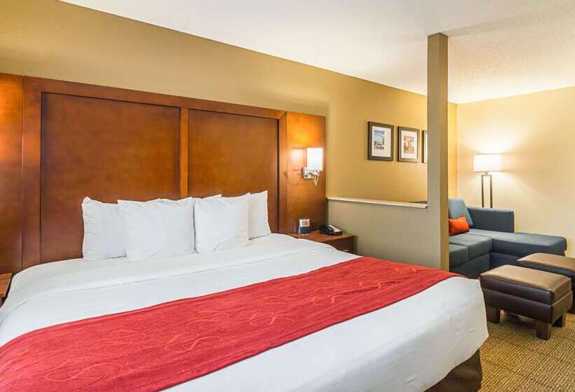 호텔 Comfort Suites Grayslake Near Libertyville North