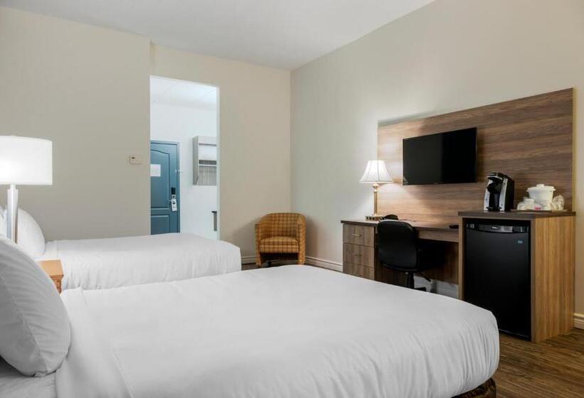 בית מלון כפרי Econo Lodge Inn & Suites