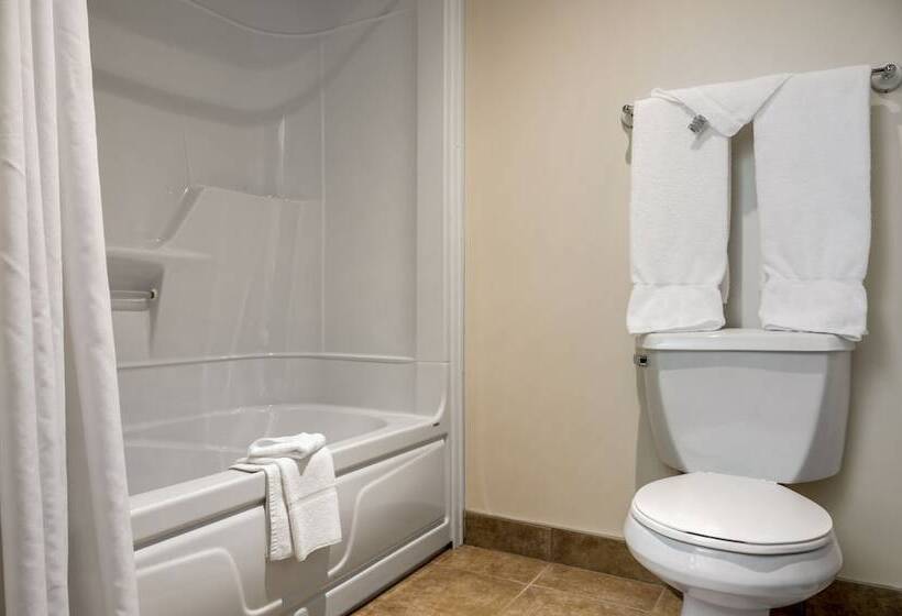 בית מלון כפרי Econo Lodge Inn & Suites