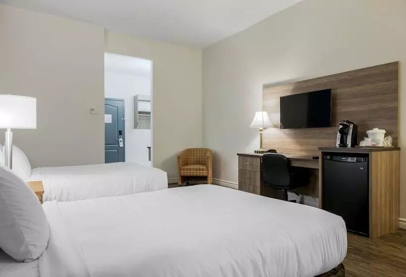 酒店 Econo Lodge Inn & Suites