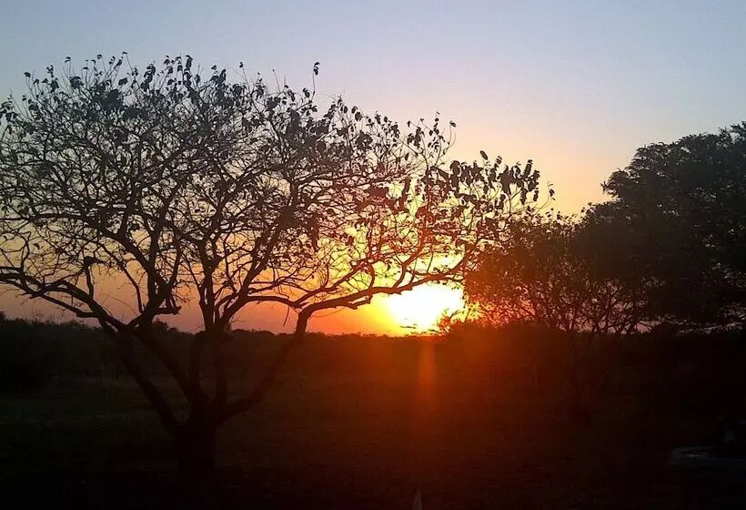 ホテル Emdoneni Lodge