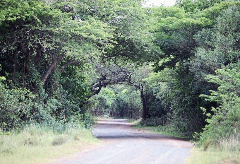 ホテル Emdoneni Lodge