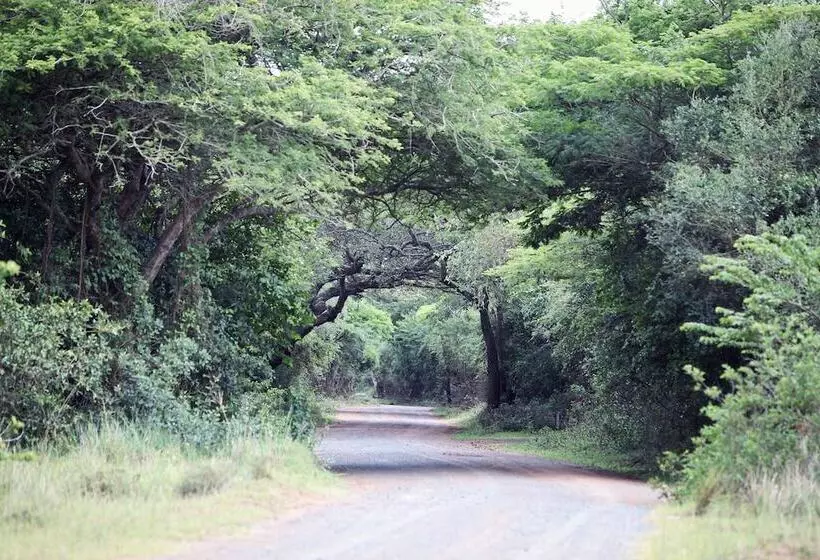 ホテル Emdoneni Lodge