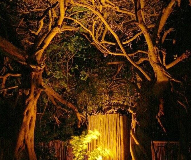 ホテル Emdoneni Lodge