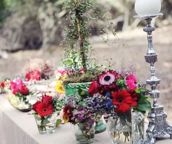 ホテル Emdoneni Lodge