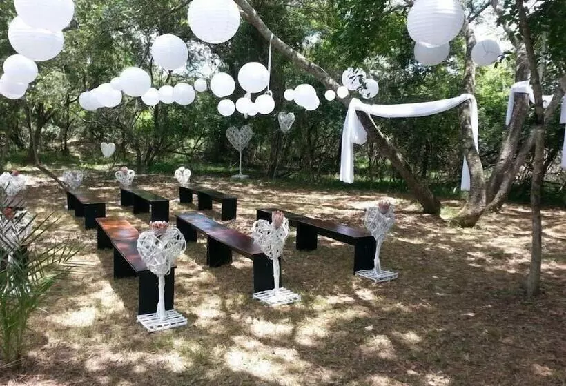 ホテル Emdoneni Lodge