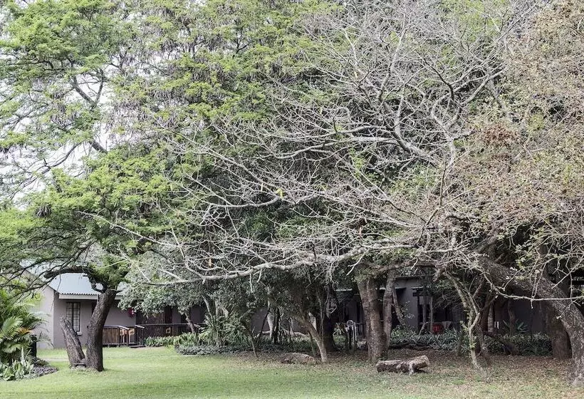 ホテル Emdoneni Lodge