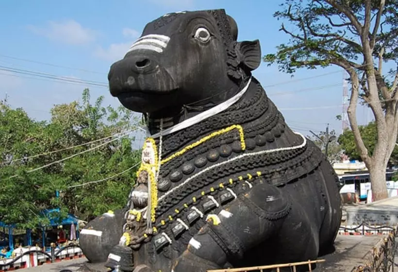 酒店 Goldfinch Retreat Bangalore