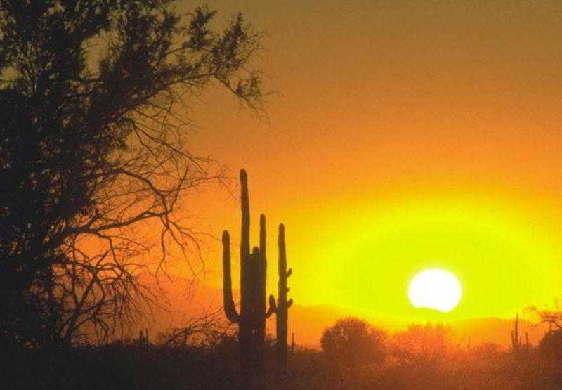 酒店 Residence Inn Phoenix Glendale Sports & Entertainment District