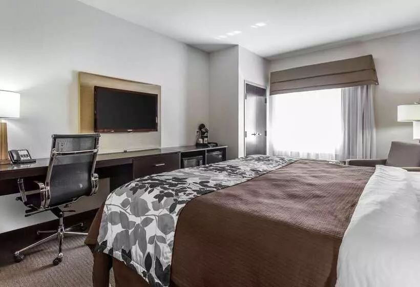酒店 Sleep Inn And Suites Lubbock